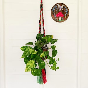 May include: A hanging plant in a brown pot with variegated green leaves, suspended by a macrame hanger with red, green, and black accents. A wooden sign with the words "fairy magic" and a fairy illustration hangs nearby.