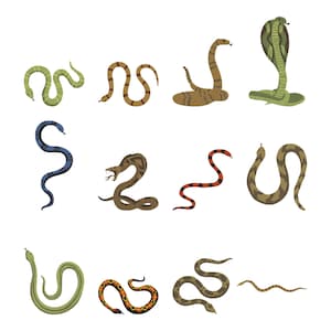 May include: A collection of twelve illustrated snakes in various colors and patterns, including green, brown, blue, and red-striped varieties. The snakes are depicted in different coiled and slithering positions, showcasing diverse scales and markings.