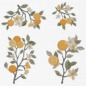 Könnte beinhalten: Vier Illustrationen von Orangenblütenzweigen mit weißen Blüten und gelben Orangen. Die Zweige sind stilisiert und haben einen Vintage-Look.