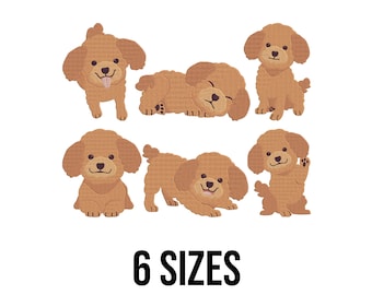 Lindo caniche en diferentes poses, diseño de bordado - Lindo caniche bebé bordado - Archivos de diseño de bordado a máquina de animales domésticos - 6 tamaños