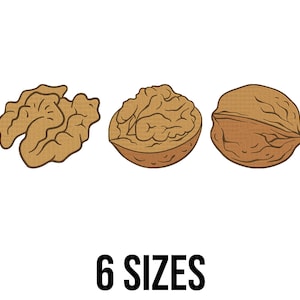 May include: Illustration of three walnuts: a walnut half, a walnut in its shell, and a walnut kernel. The text "6 SIZES" is displayed in bold, black font below the walnuts. The walnuts are brown and beige.