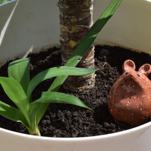 Ceramic Plant Watering Pots with Animal Figure