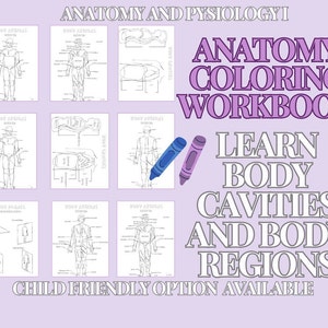 Educational Anatomy Coloring Page | Body Regions | Body Cavities | Fun Anatomy Notes | College Anatomy Workbook | Study Guide | For Kids |