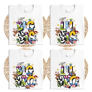 Toy Story Family Name Shirt, Disney Big Bro-Sis Lil Bro-Sis Sibling Outfit, Woody and Friends Matching Sweatshirt, Disney Family Trip Tee