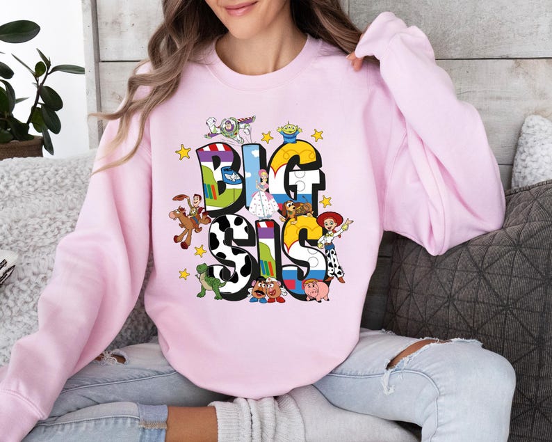 Toy Story Family Name Shirt, Disney Big Bro-Sis Lil Bro-Sis Sibling Outfit, Woody and Friends Matching Sweatshirt, Disney Family Trip Tee