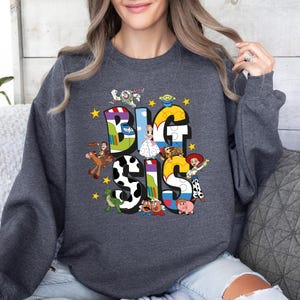 Toy Story Family Name Shirt, Disney Big Bro-Sis Lil Bro-Sis Sibling Outfit, Woody and Friends Matching Sweatshirt, Disney Family Trip Tee