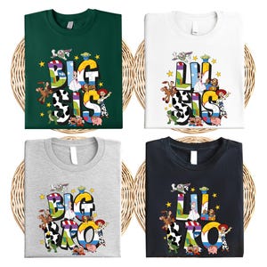 Toy Story Family Name Shirt, Disney Big Bro-Sis Lil Bro-Sis Sibling Outfit, Woody and Friends Matching Sweatshirt, Disney Family Trip Tee