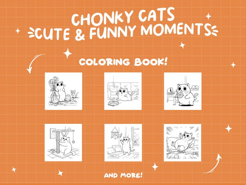 May include: Black and white colouring book featuring illustrations of cute, chubby cats in various poses. The cover features the title "CHONKY CATS CUTE & FUNNY MOMENTS COLOURING BOOK!" and the text "AND MORE!"
