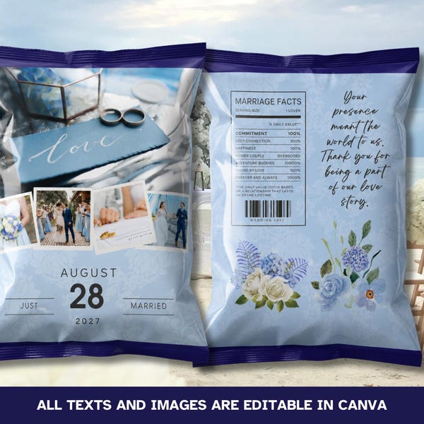 Blue Elegant Just Married Wedding Chip Bag