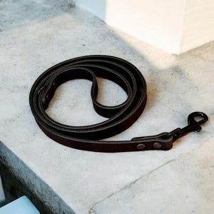 Leather Dog Leash for Medium and Large dogs, Full Grain Leather Pet Leash, 4ft & 5ft Lengths, Durable Stylish Dog Walking Accessory