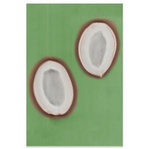 Póster de rayos X de coco con calidad de museo / Impresión en papel mate de archivo