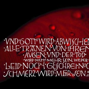 Christliche Trostkarte Trauerkarte "Und Gott wird abwischen alle Tränen " Off. 21,4, Din A6  gedruckt Kalligrafie Kalligraphie Bibelspruch