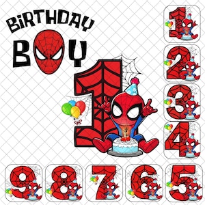 Superhero Birthday Bundle PNG, Birthday Boy Png, Family Birthday Png, Family Vacation Png, Birthday Gift Png, Spidey Birthday Boy