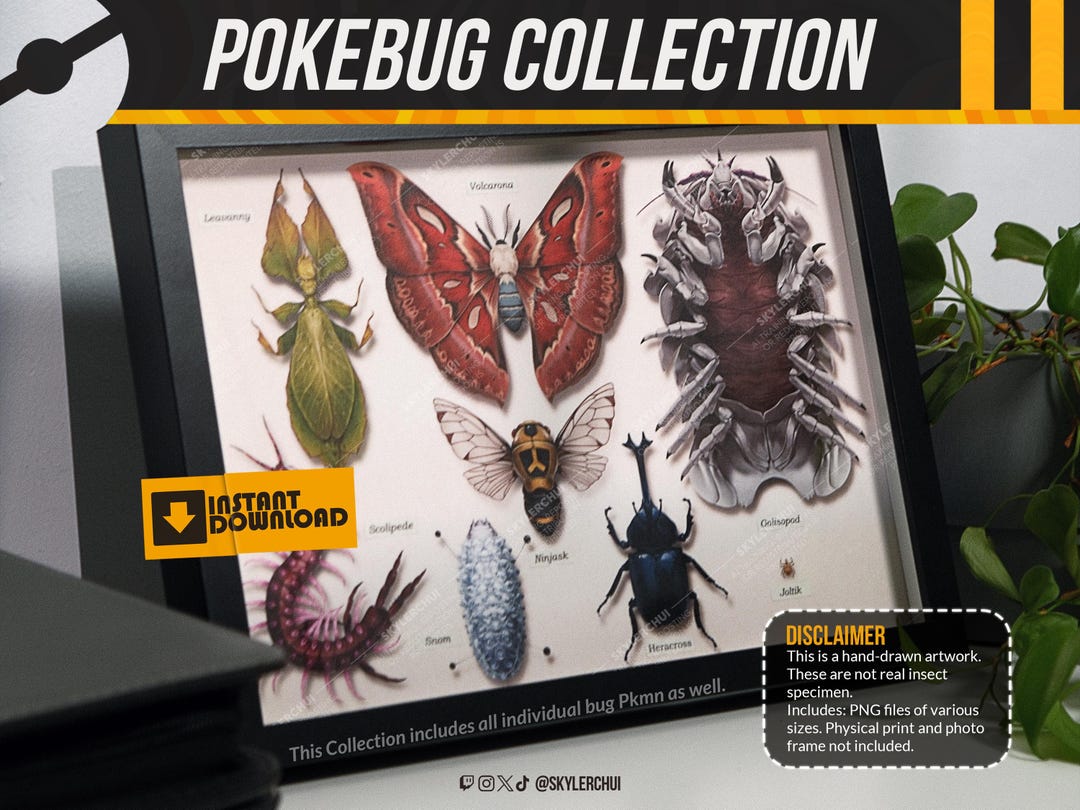 Full Collection - Bug Taxidermy Artwork [pokémon Inspired] - Etsy