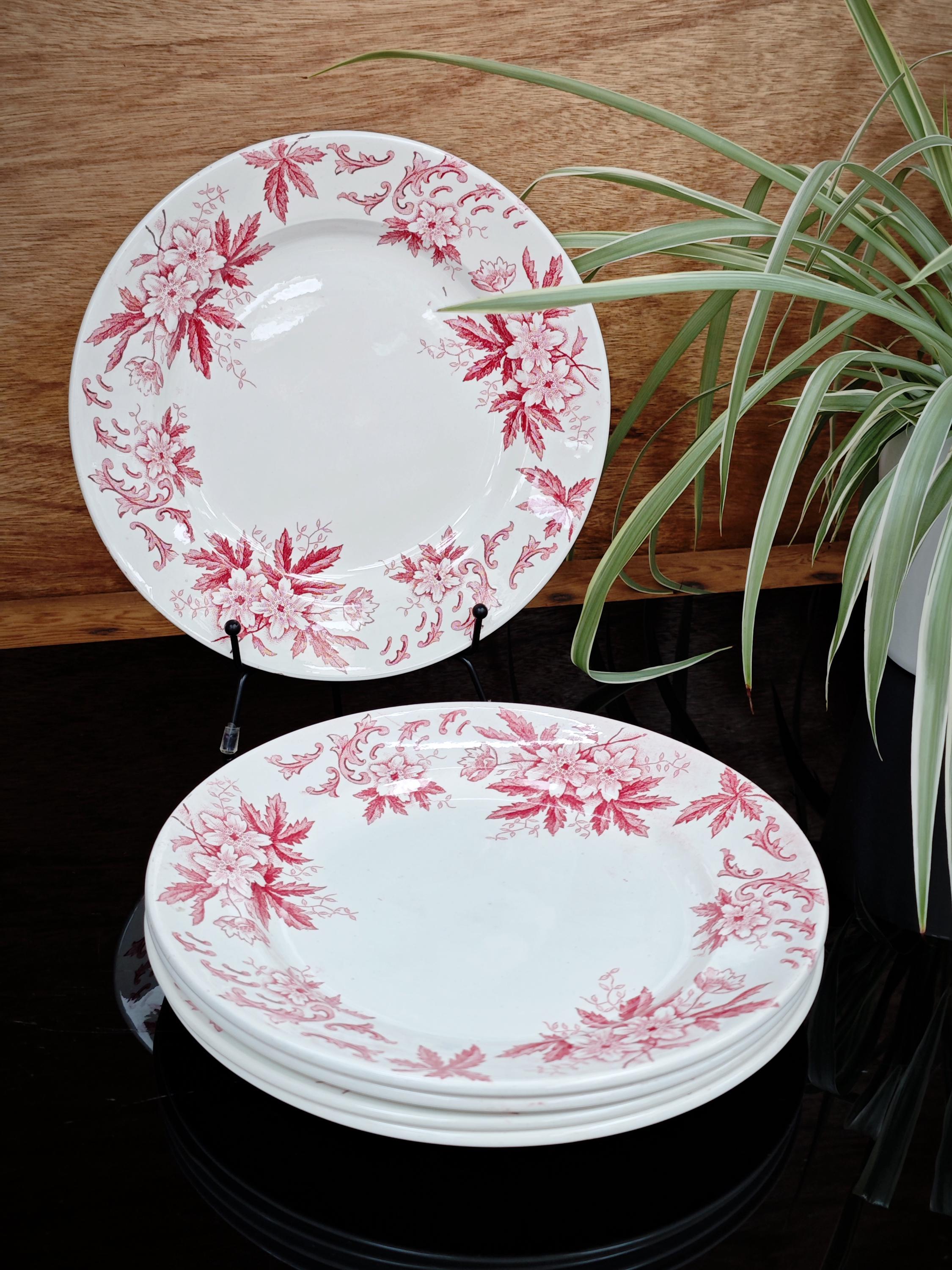 Anemone Plates UK