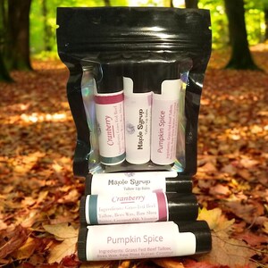 Herbst Rindertalg Lippenbalsam / Herbst Saison Limited Edition / Kürbisgewürz / Ahornsirup / Cranberry Herbst Chapstick 3 Pack