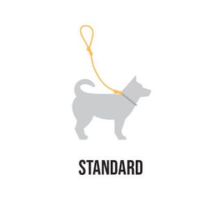 May include: A gray silhouette of a dog wearing a collar and attached to a yellow leash. The text "STANDARD" is below the image.