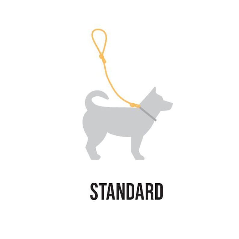 May include: A gray silhouette of a dog wearing a collar and attached to a yellow leash. The text "STANDARD" is below the image.