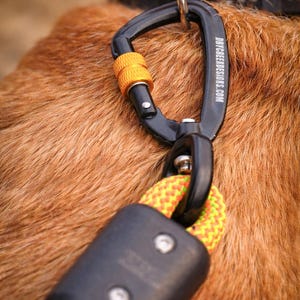Recycled Climbing Rope Dog Leash, Heavy Duty Lead, The Classic Durable, Versatile - Hand Made in Colorado - Eco-Friendly Pet Gear image 7