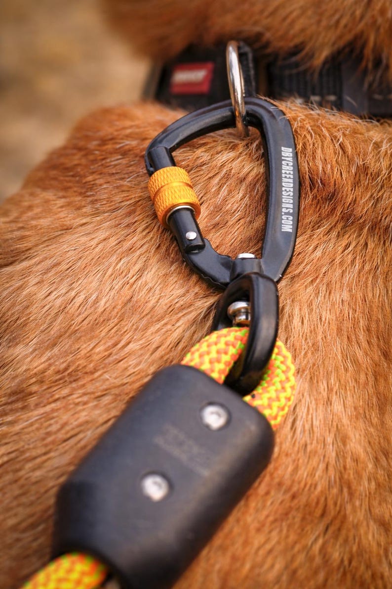 Recycled Climbing Rope Dog Leash, Heavy Duty Lead, The Classic Durable, Versatile - Hand Made in Colorado - Eco-Friendly Pet Gear image 7