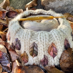 Deciduous yarn bowl chunky super bulky knitting Malabrigo Rasta Pattern image 5