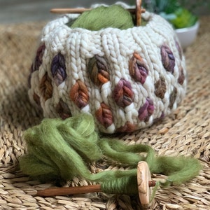 Deciduous yarn bowl chunky super bulky knitting Malabrigo Rasta Pattern image 4