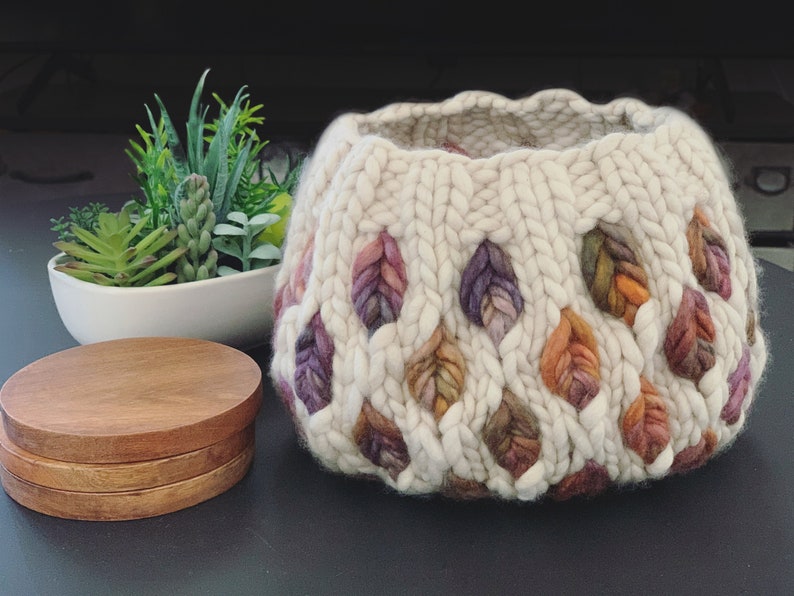 Deciduous yarn bowl chunky super bulky knitting Malabrigo Rasta Pattern image 1