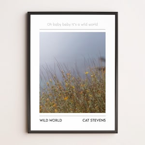 Wild World – Minimalist Cat Stevens Poster | Vintage Nature Floral Print | Photographic Art Music Songs
