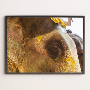 Fotografia Elefante Jaipur – Dettaglio Elefante Decorato ad Amber Fort, India | Poster Etno, Arte da Parete Orientale, Viaggio in Asia