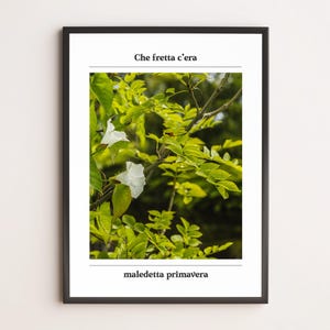 Maledetta Primavera – Loretta Goggi | Poster fotografico minimal | Stampa fiori musicale | Arte da parete italiana