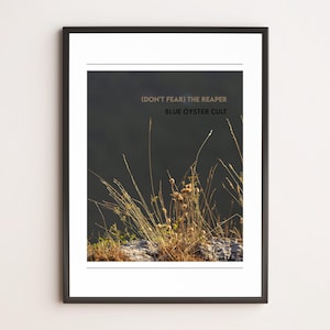 The Reaper – Blue Öyster Cult | Poster fotografico minimal | Stampa d’arte musicale | Arte da parete rock