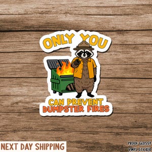 Sticker - Only You Can Prevent Dumpster Fires Raccoon, Sarcastic Vinyl Laptop Decal, Trash Panda Humor, Gift for Coworker