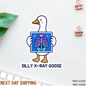 Silly Xray Goose Nurse Sticker/Car Magnet, Sarcastic Sticker, Funny Laptop Decal, Cool Stickers & Magnets, Goose Meme Sticker