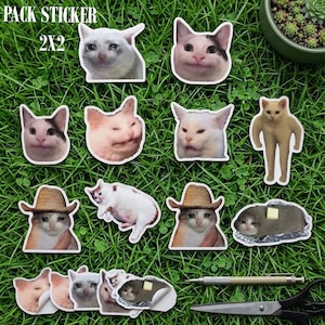 Peut inclure: Un ensemble d'autocollants de 2x2 pouces avec des images de mèmes de chats. Les autocollants présentent des chats avec diverses expressions, notamment en pleurs, narquois et portant des chapeaux de cow-boy. Les autocollants sont disposés sur de l'herbe verte.