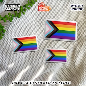 May include: Three rectangular stickers with a rainbow flag design, including the colors of the transgender flag. The stickers are labeled "Sticker Magnet" and "Water Proof". The text "Express Delivery" is also visible.
