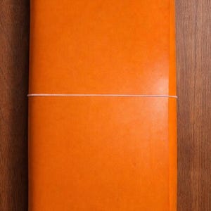 Leather Trifold Journal / Manifestation Journal / Grimoire image 1