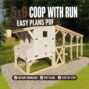 May include: A wooden chicken coop with a run, featuring a white structure with a sloped roof and a wire mesh enclosure. The text "5x6 COOP WITH RUN EASY PLANS PDF" is displayed at the top. Includes "INSTANT DOWNLOAD", "PDF PLANS", and "STEP-BY-STEP" icons.