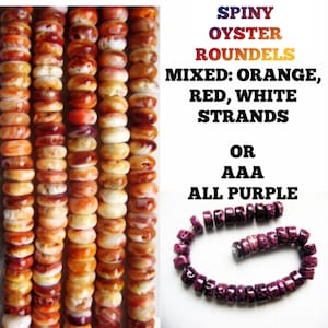 Peut inclure: Des fils de rondelles d'huîtres épineuses de couleurs orange, rouge et blanche mélangées. L'image montre également un fil de rondelles AAA entièrement violettes. Le texte sur l'image indique "SPINY OYSTER ROUNDELS MIXED: ORANGE, RED, WHITE STRANDS OR AAA ALL PURPLE."