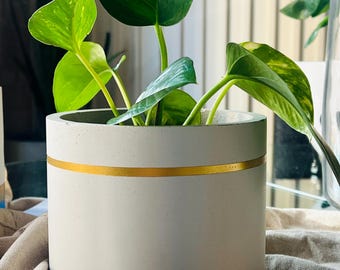 Planter - molded with love, with Pothos Plant
