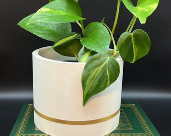 Planter - molded with love, with designer gold (metallic) trim