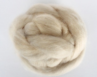 May include: A close-up of a clump of natural beige wool fiber. The wool is soft and fluffy, and it is perfect for spinning or felting.