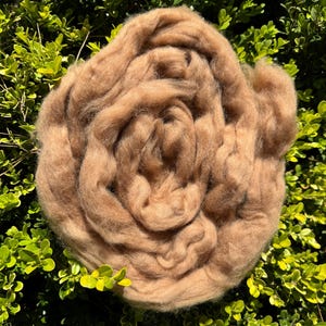 Peut inclure: Un gros plan d'une boule de fibre de laine brun clair. La laine est douce et moelleuse, et elle est disposée en spirale.