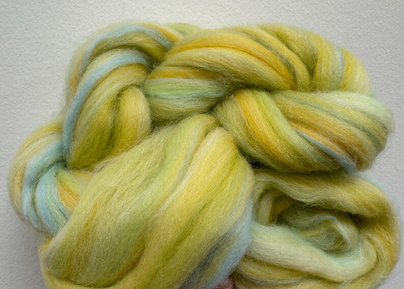 Mixed Colors Merino Wool Roving: Needle Felting, Spinning Fiber (21.5 ...
