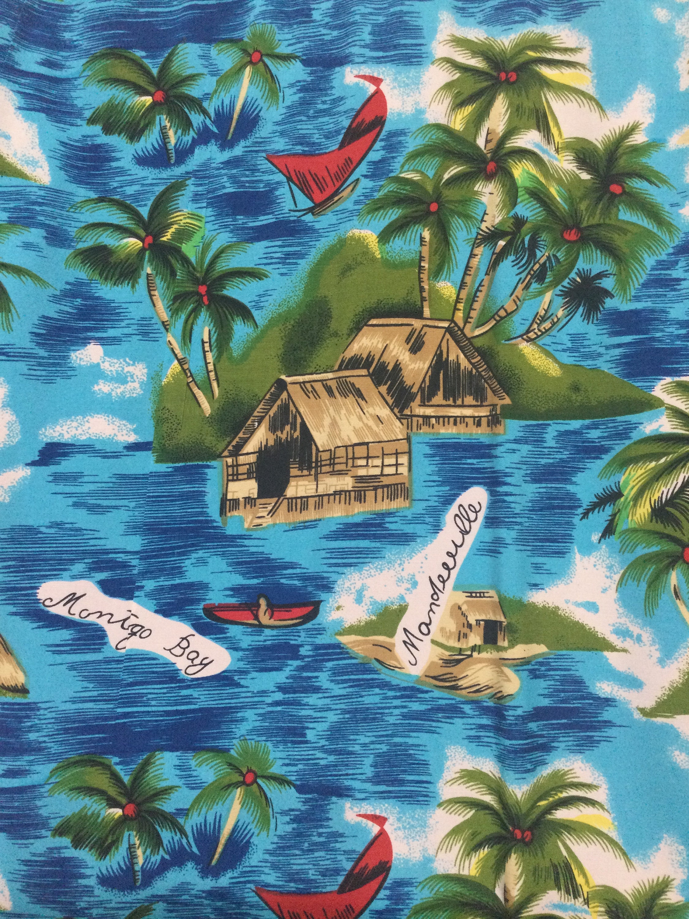 HS204 Vintage 1960s Rayon Hawaiian Shirt by National Sport Shirt