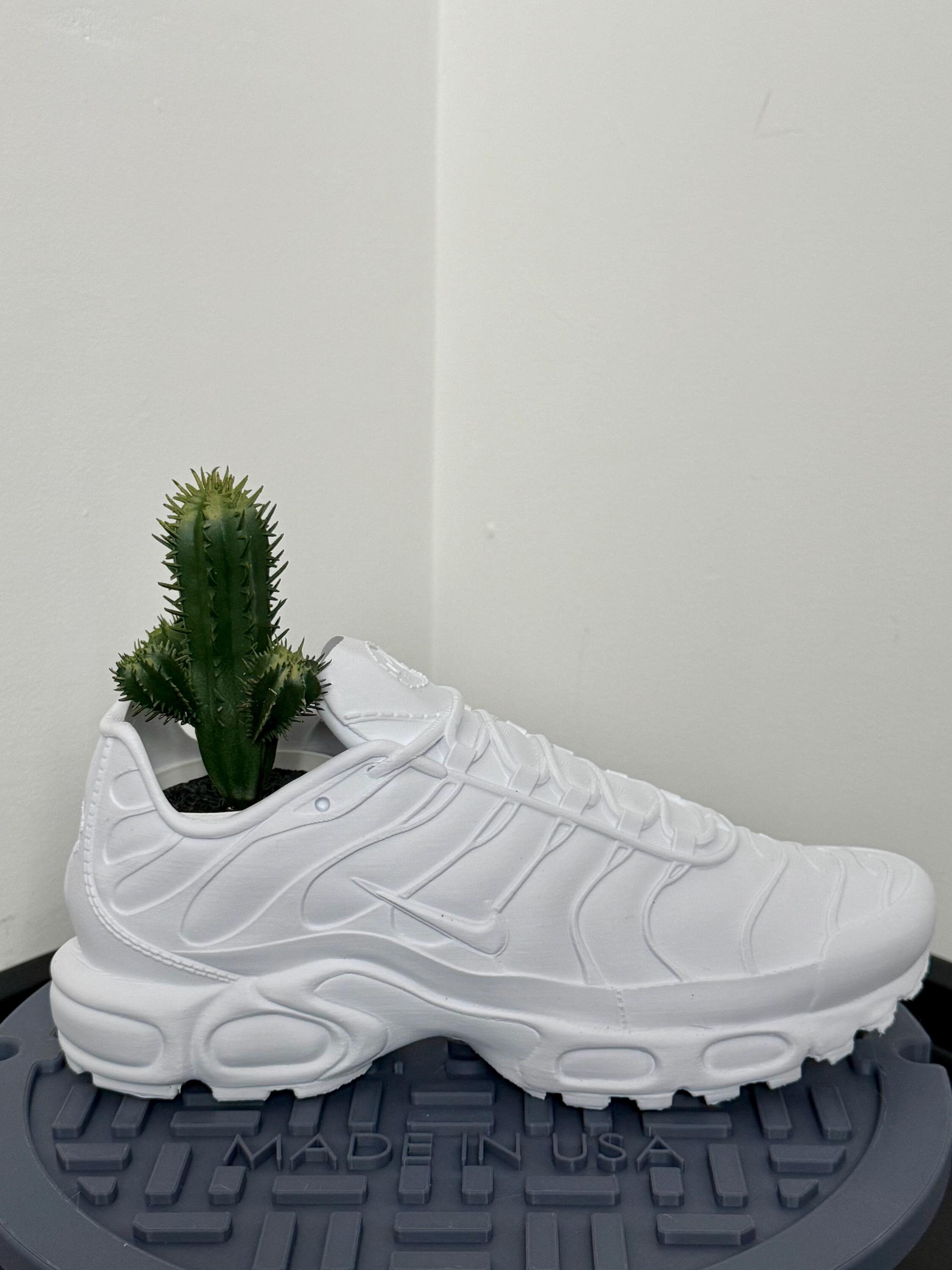 cactus tns