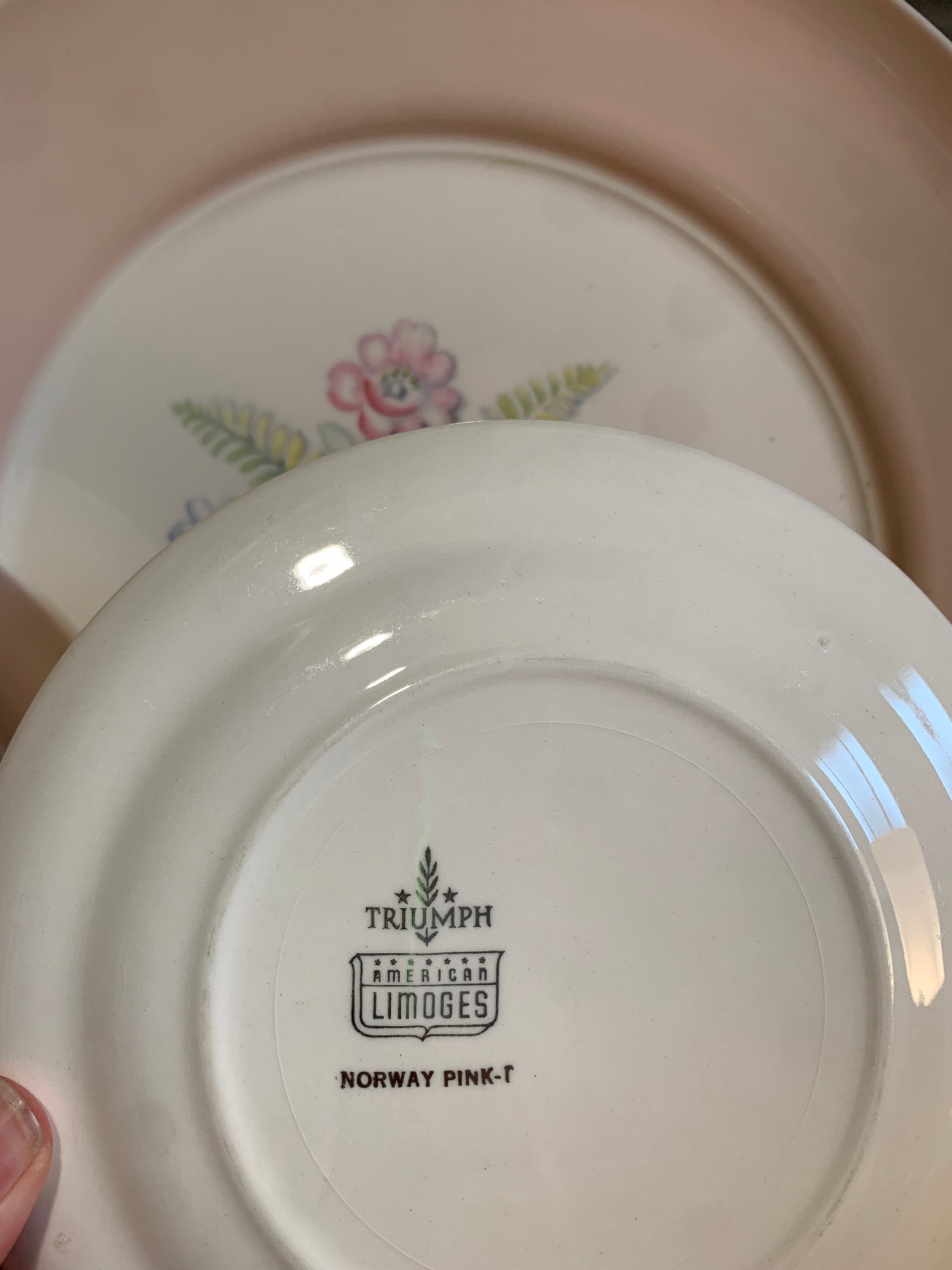 Vintage Limoges France Hand-Painted Pink Oval Dish
