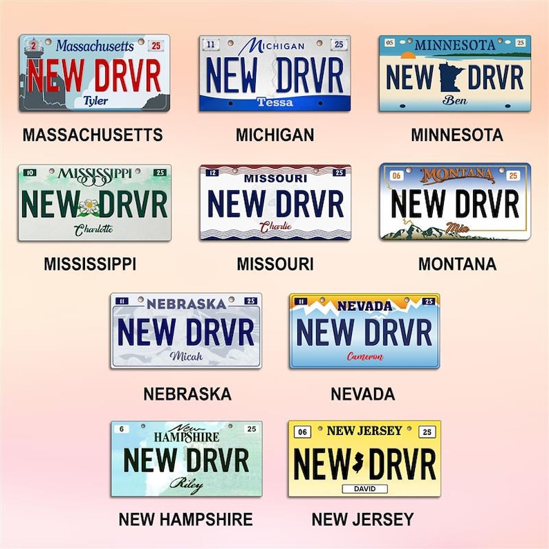 Personalized New Driver Ornament, Florida License Plate Keepsake, Xmas Gift image 4