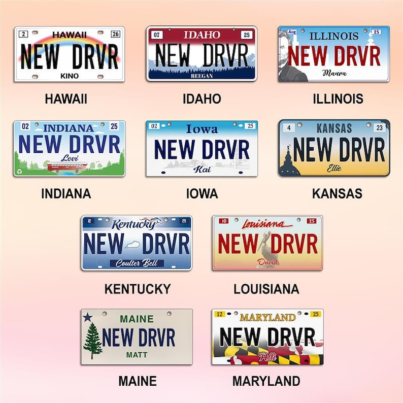 Personalized New Driver Ornament, Florida License Plate Keepsake, Xmas Gift image 3