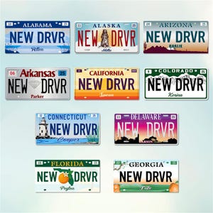 Personalized New Driver Ornament, Florida License Plate Keepsake, Xmas Gift image 2