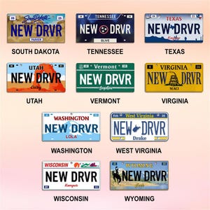 Personalized New Driver Ornament, Florida License Plate Keepsake, Xmas Gift image 6